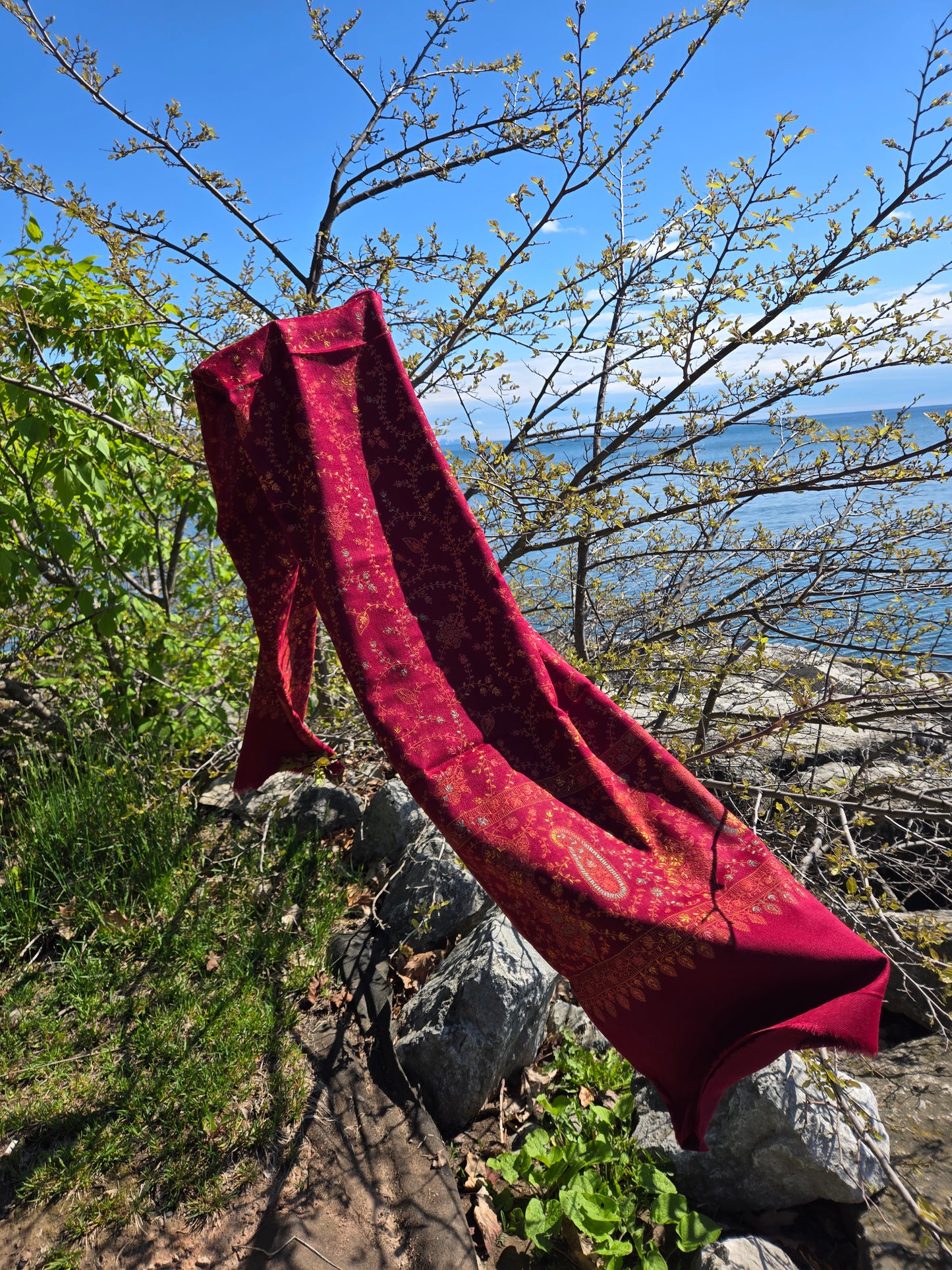 Zafran Pashmina Scarf